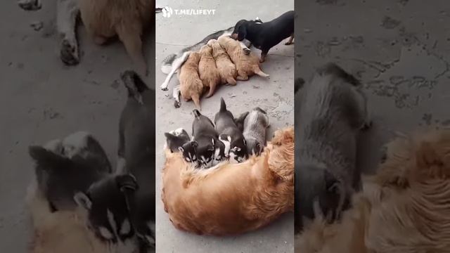 А вы точно ничего не перепутали