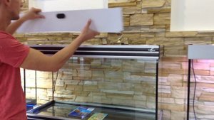 Аквариум БиоДизайн Altum