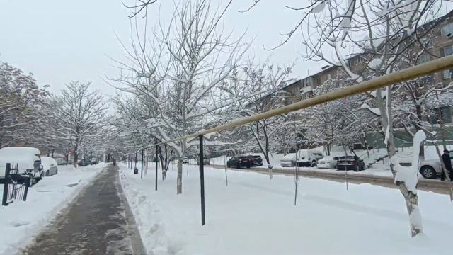 Зимняя прогулка.Шымкент.24.02.24.#рекомендации #шымкент #life #vlog #shymkent #recommended смотреть онлайн