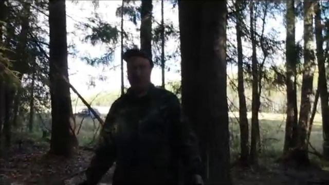 Лесной хвойный перегной для сада.