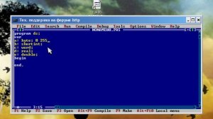 Turbo Pascal 7.1 Урок №5