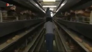 Агропромышленность   сельское хозяйство Европы 3 из 7