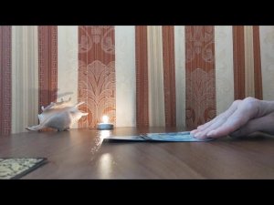 ЛЮБИТ ОНА ИЛИ ВСЕ ПРОШЛО? Таро для мужчин. гадания для мужчин