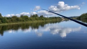 НЕСПЕШНАЯ РЫБАЛКА РЫБА ЕЛЕЦ КЛЮЁТ ОТЛИЧНО