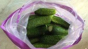 Малосольные огурчики с чесноком