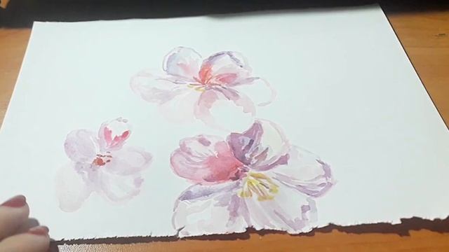 1.Урок рисования. (Сакура). Акварель. Как рисовать. Япония смотреть онлайн