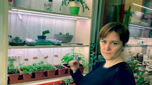 Пряные травы зимой под рукой. Загородная лаборатория рекомендует. смотреть онлайн