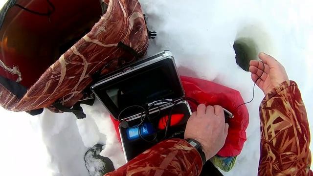 Обычная прогулка по зимнему лесу на таежное озеро.Подводная съемка. смотреть онлайн