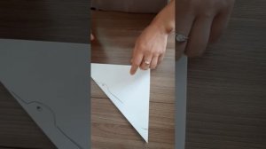 Мастер-класс "Белый журавль"