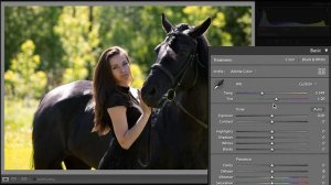 Adobe Lightroom (Выпуск 4) Develop. HSL / Calibration. Работа с цветом. Обучающее видео.