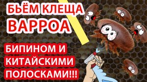 БЪЕМ КЛЕЩА ВАРРОА ПРОСТЕЙШИМ СПОСОБОМ С ПОМОЩЬЮ БИПИНА И КИТАЙСКИХ ПЛАСТИНОК!!!