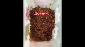 Кокосовый субстрат для орхидей