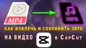 Как извлечь и сохранить звук из видео в CapCut