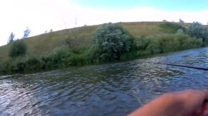 Рыбалка на реке Олым. (Голавль - спиннинг).Вторая попытка