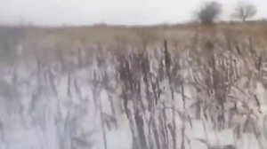 5  Почему любовь не взаимна