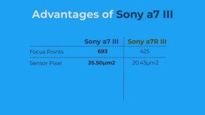 Sony A7 III vs A7R III | Which is Better Pro Mirrorless Camera?