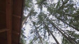 Я построю свой дом....mp4