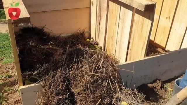 Sada iskoristite ostatke biljaka da napravite super hranjivo - evo kako ! смотреть онлайн