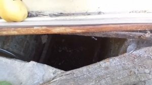 Водограй - биопрепарат для очистки канализации в частном секторе. Результат через 3 месяца