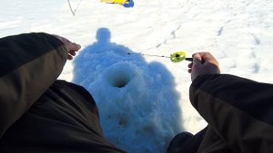 БЕЗМОТЫЛКА. ЛОВЛЯ ГУСТЕРЫ НА МОРМЫШКУ, ПЛОТВА НЕ ДАЁТ СКУЧАТЬ