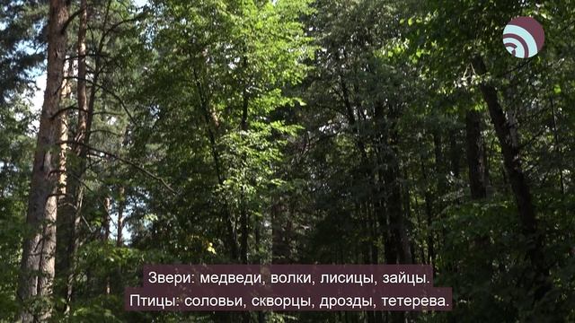 Из истории Богородского округа промышленное развитие Купавны смотреть онлайн