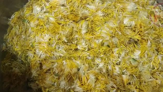 ВАРЕНЬЕ ИЗ ОДУВАНЧИКОВ С ЛИМОННЫМИ ДОЛЬКАМИ / МЁД ИЗ ОДУВАНЧИКОВ/ПОШАГОВЫЙ РЕЦЕПТ смотреть онлайн