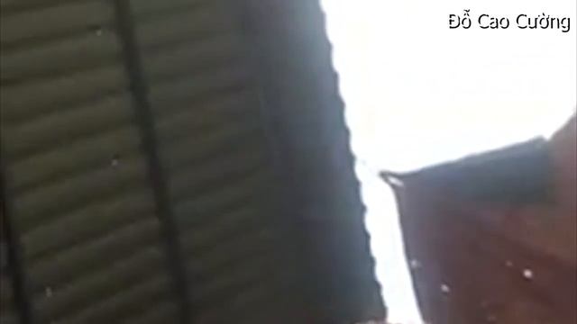 cầm quyền cộng sản đồng lỏa với hán tạc đầu đọc dân VN смотреть онлайн