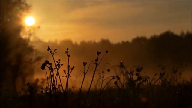 А река течёт - Ульянов Игнатий смотреть онлайн