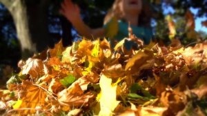 Почему нужно заставлять ребенка ходить на секции и кружки?