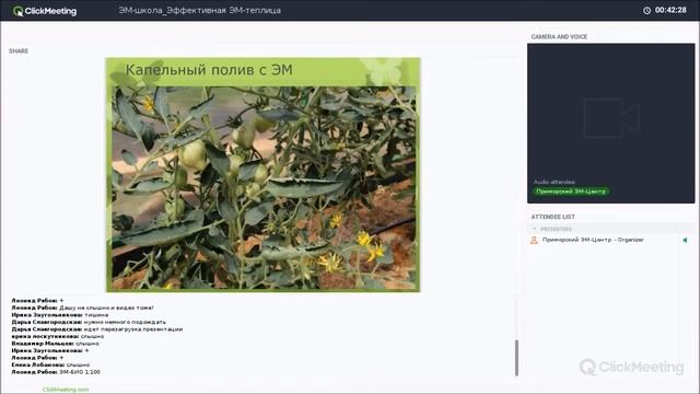 Эффективная ЭМ теплица и теплые грядки смотреть онлайн