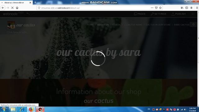 How To Publish Information On A Website Using Webnode