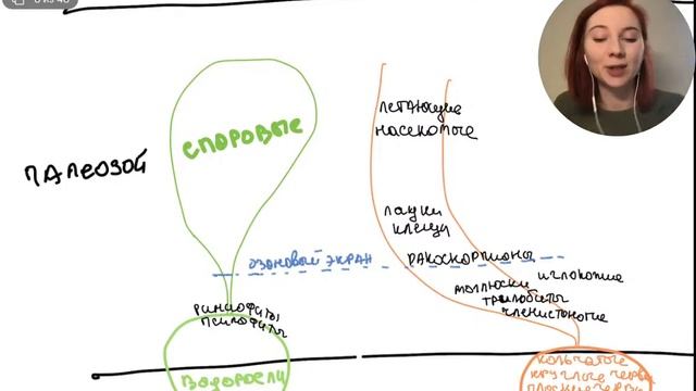 Основные ароморфозы животных | БИОЛОГИЯ ЕГЭ | Лина Клевер