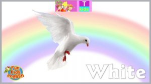English - Colours - withe