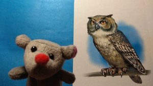 МЫШЬ и СОВА, видео рассказ, интересная ИСТОРИЯ про СОВУ