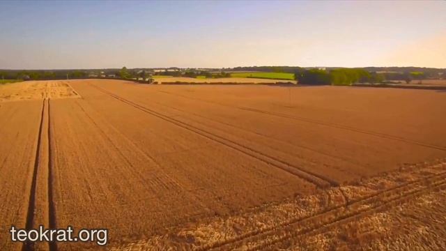 Великий жатвы Господин  82