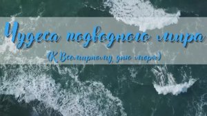 «Чудеса подводного мира». К Всемирному Дню моря. Библиодайвинг.