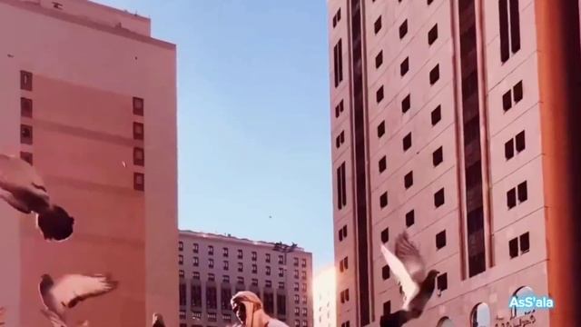 Самый дорогой день в году/ День Арафа.#арафа #ислам смотреть онлайн