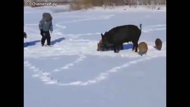 ПРИКОЛЫ НА РЫБАЛКЕ 2020 # 12 / ПЬЯНЫЕ НА РЫБАЛКЕ 2020 / Угарные приколы на рыбалке 2020