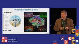 Проблема мозг и сознание. Константин Анохин