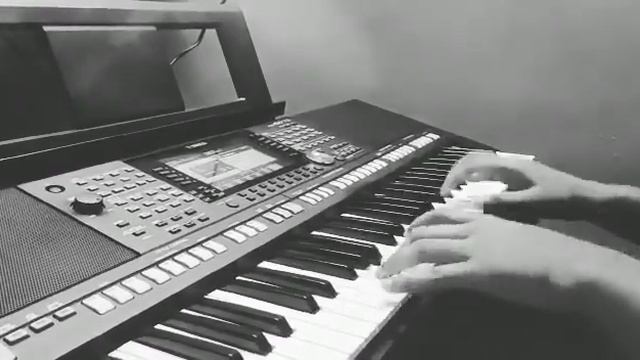 Freestyle in slap bass смотреть онлайн