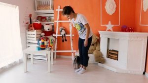 Как дрессировать собаку: дрессировка щенка йоркширского терьера в 7 месяцев в домашних условиях