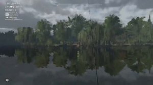Канальные сомы и черные сомики на реке Мадвотер Fishing planet