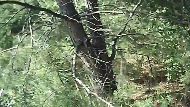 1 Вело-поход с ночевкой на старую ж. д. Часть 1 смотреть онлайн