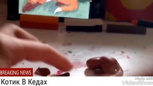 ¶¶Коты - Воители¶¶Саша из пластилина, Лепка из пластилина¶¶