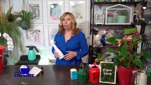 Как навсегда избавиться от клопов? Эффективные средства от постельных клопов в домашних условиях.