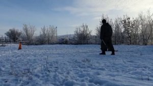 дрессировка собак. демонстрация охраны хозяина.