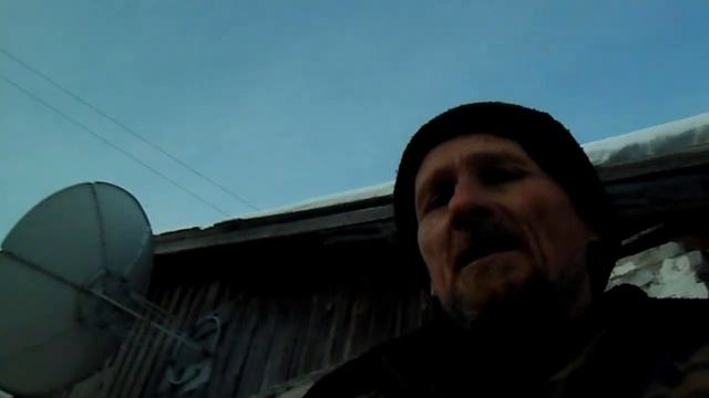 Телёнок билайн - корова послед смотреть онлайн