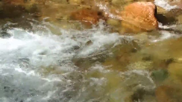 Ловля форели . Алматы смотреть онлайн