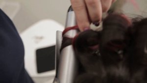 Три варианта завивки своими руками: утюжки, плойка-щипцы и бигуди-бумеранги