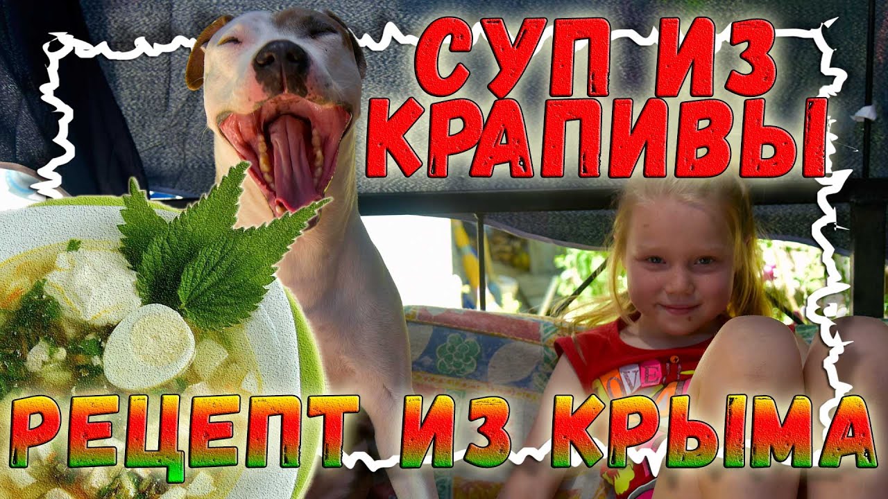 Суп из крымской крапивы | Вкусная кухня смотреть онлайн